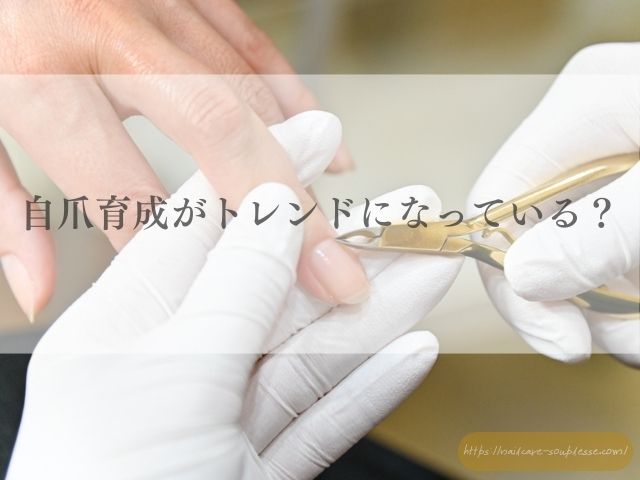 自爪　自爪育成