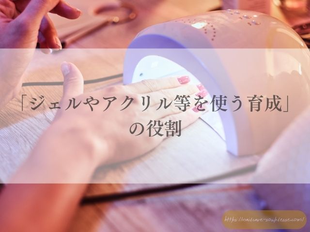 自爪　自爪育成