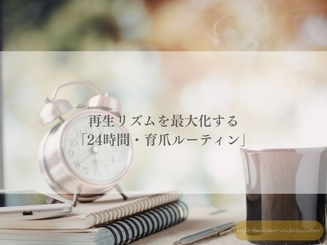 美爪 自爪育成 習慣