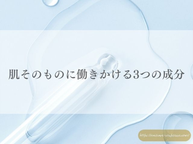 春　夏　ハンドケア　保湿剤　選び方　サロンケア