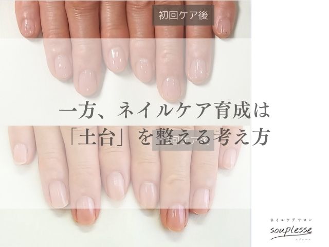 欧州　TPO規制　自爪育成　ネイルケア
