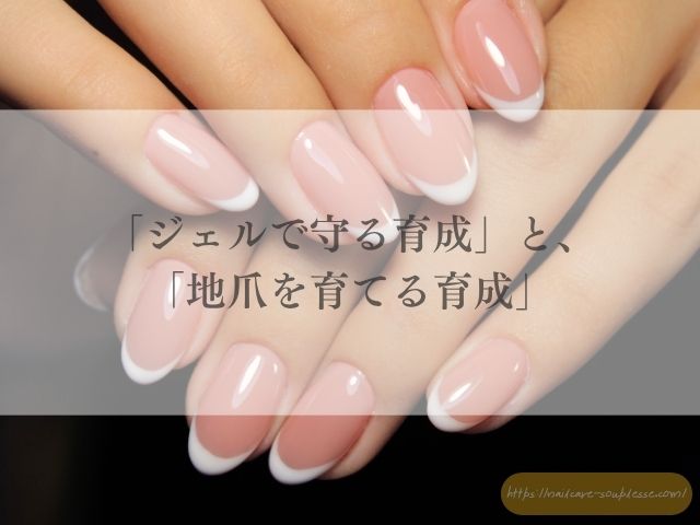 欧州　TPO規制　自爪育成　ネイルケア
