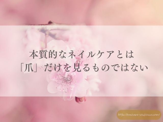 欧州　TPO規制　自爪育成　ネイルケア