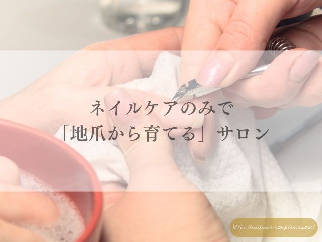 手　心を映す鏡　心理学　脳科学　手肌　爪　心　深い関係